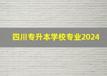 四川专升本学校专业2024