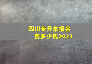 四川专升本报名费多少钱2023