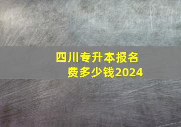 四川专升本报名费多少钱2024