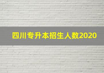 四川专升本招生人数2020