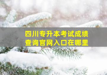 四川专升本考试成绩查询官网入口在哪里