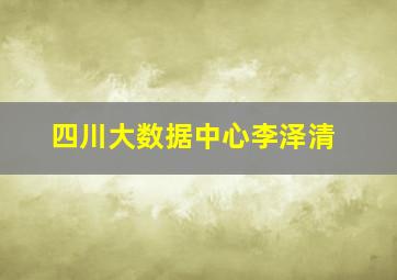 四川大数据中心李泽清