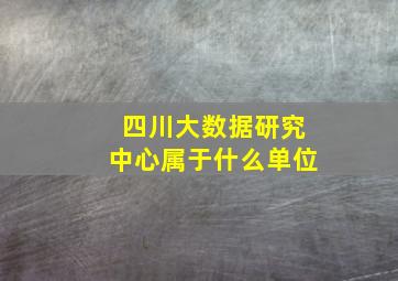 四川大数据研究中心属于什么单位