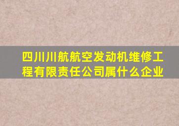 四川川航航空发动机维修工程有限责任公司属什么企业