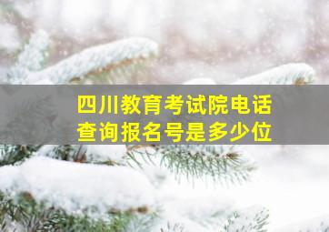 四川教育考试院电话查询报名号是多少位