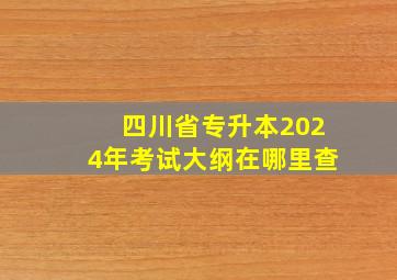 四川省专升本2024年考试大纲在哪里查