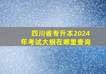 四川省专升本2024年考试大纲在哪里查询