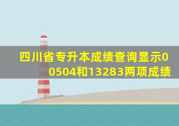 四川省专升本成绩查询显示00504和13283两项成绩