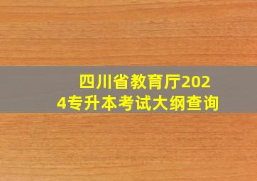 四川省教育厅2024专升本考试大纲查询