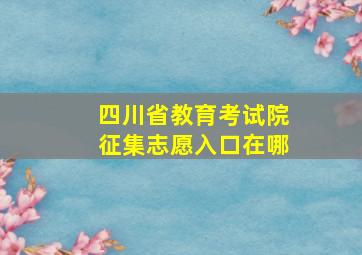 四川省教育考试院征集志愿入口在哪