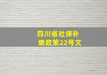 四川省社保补缴政策22号文