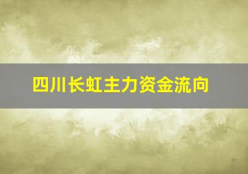 四川长虹主力资金流向