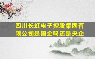 四川长虹电子控股集团有限公司是国企吗还是央企