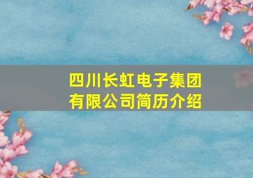 四川长虹电子集团有限公司简历介绍