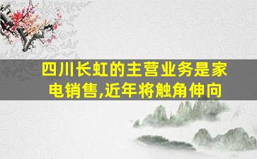 四川长虹的主营业务是家电销售,近年将触角伸向