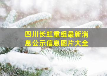 四川长虹重组最新消息公示信息图片大全