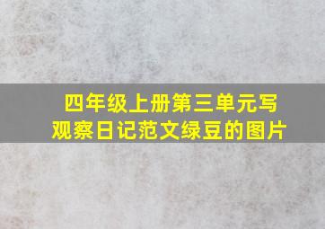 四年级上册第三单元写观察日记范文绿豆的图片