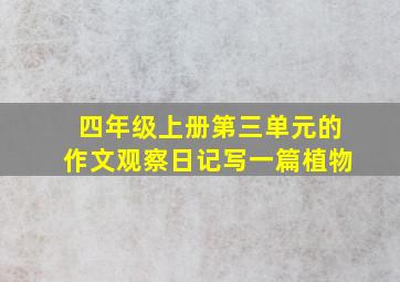 四年级上册第三单元的作文观察日记写一篇植物