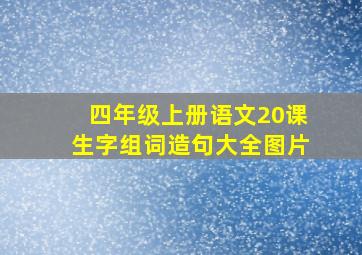 四年级上册语文20课生字组词造句大全图片