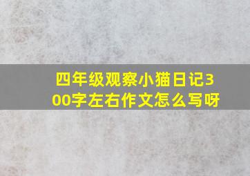 四年级观察小猫日记300字左右作文怎么写呀