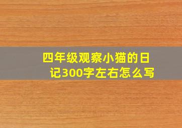 四年级观察小猫的日记300字左右怎么写