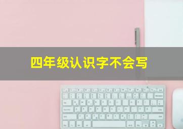 四年级认识字不会写