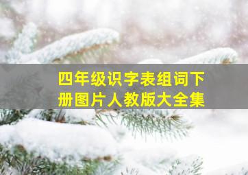 四年级识字表组词下册图片人教版大全集