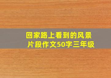 回家路上看到的风景片段作文50字三年级