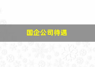 国企公司待遇