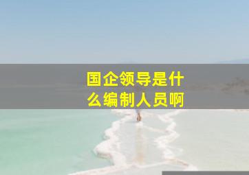 国企领导是什么编制人员啊