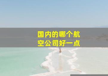 国内的哪个航空公司好一点