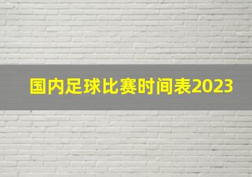 国内足球比赛时间表2023