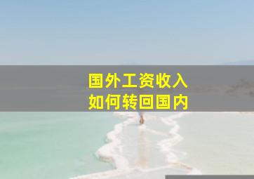 国外工资收入如何转回国内