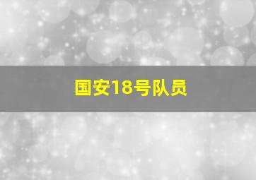 国安18号队员