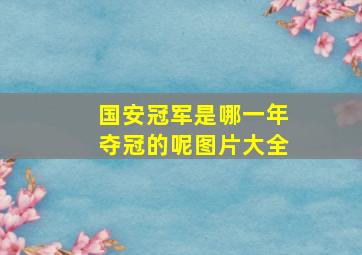 国安冠军是哪一年夺冠的呢图片大全