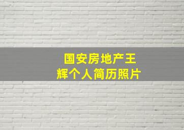 国安房地产王辉个人简历照片