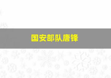 国安部队唐锋