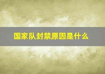 国家队封禁原因是什么