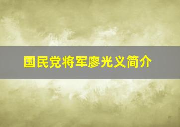 国民党将军廖光义简介