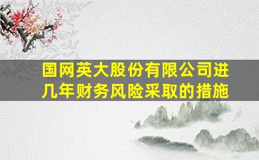 国网英大股份有限公司进几年财务风险采取的措施