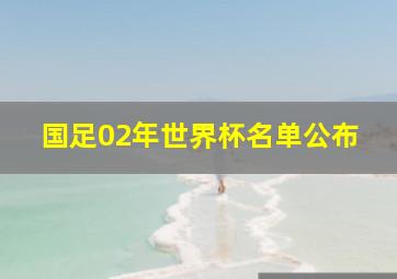 国足02年世界杯名单公布