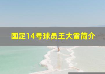 国足14号球员王大雷简介