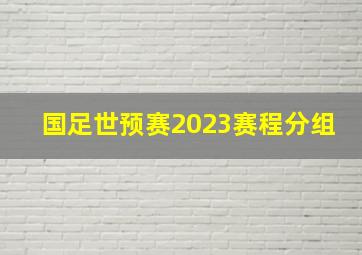 国足世预赛2023赛程分组