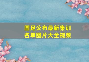 国足公布最新集训名单图片大全视频