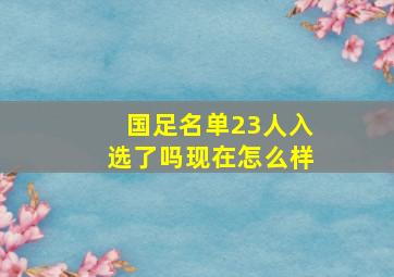 国足名单23人入选了吗现在怎么样