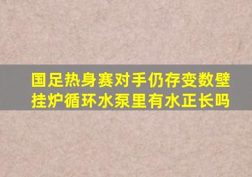 国足热身赛对手仍存变数壁挂炉循环水泵里有水正长吗