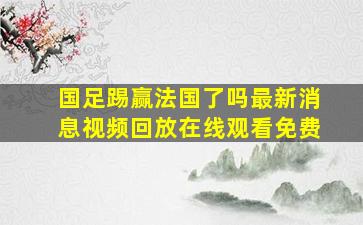 国足踢赢法国了吗最新消息视频回放在线观看免费