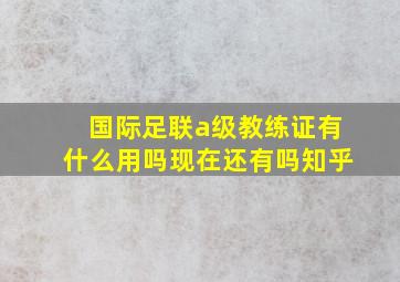 国际足联a级教练证有什么用吗现在还有吗知乎