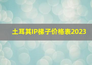 土耳其IP梯子价格表2023