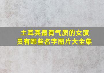 土耳其最有气质的女演员有哪些名字图片大全集